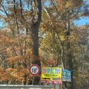 산상낙원 | [제천 산상낙원캠핑장] : 가을에 가기 좋은 캠핑장, 제천 캠핑장 추천, 산상낙원캠핑장 데크 이용 후기