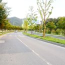 환경자원사업소 테니스장 이미지