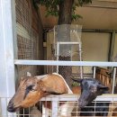 조리읍사무소앞 이미지