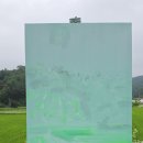 백로하늘'까치하늘'장마준비하늘 서울은 비온다는데 양평고들빼기 들판은 섭하다 이미지
