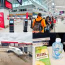 2020-주140 | 시드니 멜버른 국내선 이동 콴타스 항공 탑승 후기 총정리