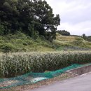 전원 부동산 중개인 사무소 이미지