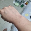 내손한의원 이미지