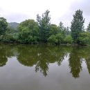 목계숲 2 이미지