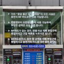 초록셀프세차 이미지