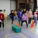 경희대 위드 태권도장 이미지