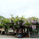 고려동 회관 이미지