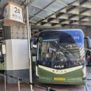 9월 28일(일) 어제 내 고향 정선에서 보낸 일상 이미지