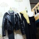 제주게스트하우스봄꽃 이미지