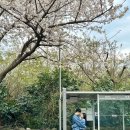 서호동-23 이미지