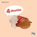 국수쟁이 | 임신 일기 #4 얼마나 열심히 사는건지 감도 안와 부지런한 12w-15w 임산부