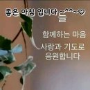 월요일 Daum카페
