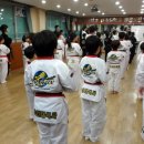 월드용인대석사태권도 이미지