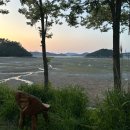 서산농협 팔봉지점 이미지