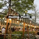 힐링마켓 이미지