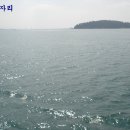 김진학 Daum카페