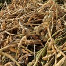 반용농장 이미지