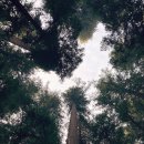 초희미용실 이미지