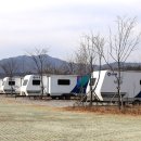 약수골캠프촌 숲속캠핑장 이미지