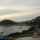 순천만 그리고 나 이미지