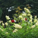 오늘부터 사진작가 이미지