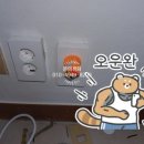 성우전파사