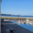 금진민박 이미지