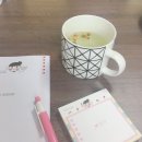 와스디 | 따뜻했던 와스디승승장구 디자이너모임 후기 ♥