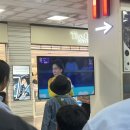 금메달족발덮밥 | 대만 자유여행 타이베이 여행
