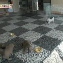 민지농장 이미지