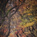 함양제일정비 이미지