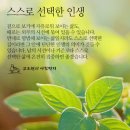 삼여 Daum카페