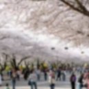 봄 편의점