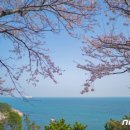 장승포해안로 이미지