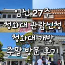 양천문화회관(정문옆) | 임신 27주 청와대 관람신청 청와대 개방 주말 방문 후기