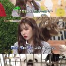 김영희농장 이미지