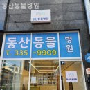 동산동물병원 이미지