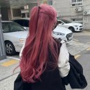 스무살 때 나의 버킷리스트. 스물 다섯에 돌아보기.