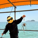 해맞이마트 이미지