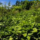 영미세탁 이미지