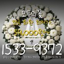 (유)무안병원장례식장 | 울산동강병원장례식장 근조화환 모두의꽃 집앞 꽃배달 신속한 꽃배달 간편주문 방법