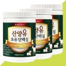 녹십초 - 속초시 중앙로 89-1 | 녹십초