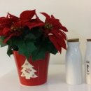 씨앤모먼트 이미지