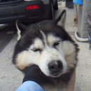 만성초등학교 이미지