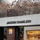 카멜레온 디테일 | 잭슨카멜레온 연희동 쇼룸 (위치,주차,영업시간,방문후기)