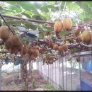 복열농장 이미지