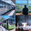 강원특별자치도 정선군청 소회의실 | 여름 정선 여행 추천 정선아리랑열차 A-Train 정선오일장