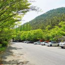 국립희리산해송자연휴양림 이미지