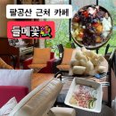 들메꽃 | 🌿 팔공산 감성 카페 추천? ‘들메꽃’ 솔직 방문기! 반려동물 동반은 가능! but..감성은 있는데, 또...