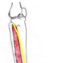 삼성전자OK한의원 이미지